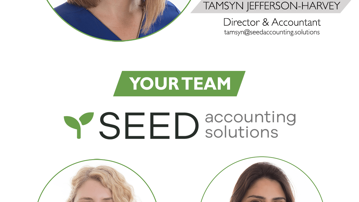 Seed Team