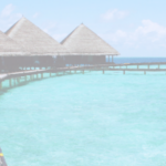 How to take a 2 week vacation from your business